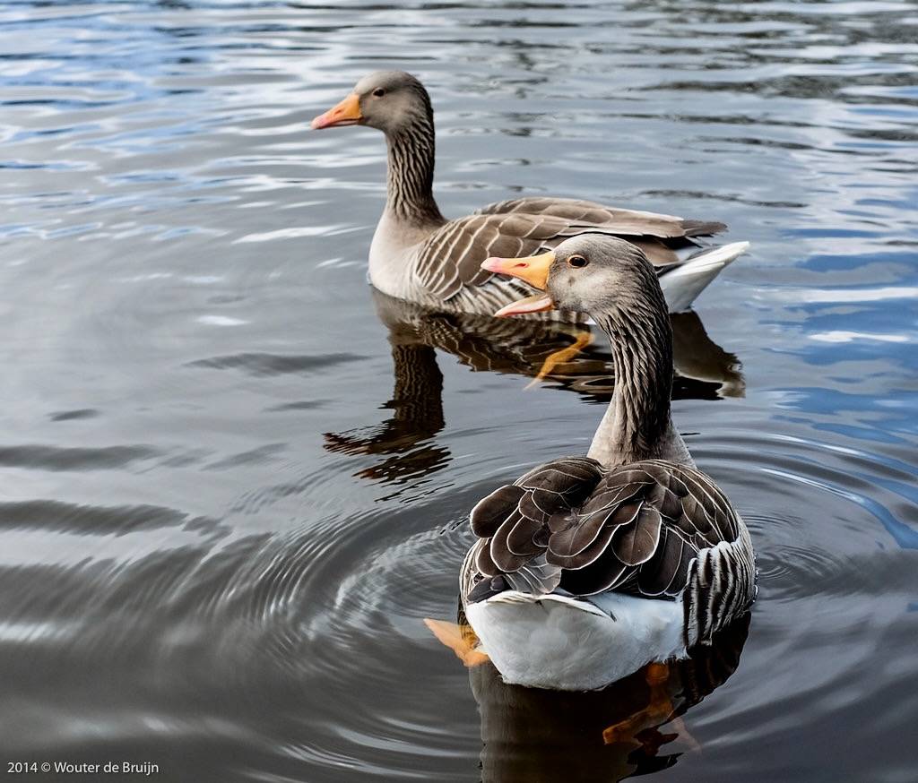 Hey, you. Stop looking at my butt!! by Wouter de Bruijn is licensed under CC BY-NC-SA 2.0.